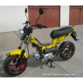 49cc Super Motorcycle